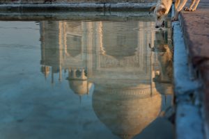 fotografía de la celebración del holi en la India por Pedro Etura