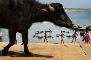 fotografía de la celebración del holi en la India por Pedro Etura