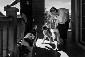 fotografia de embarazo o premama por Pedro Etura de Etura Weddings,